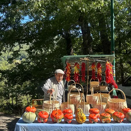 Borgo Don Armando - A B C E * Francavilla in Sinni