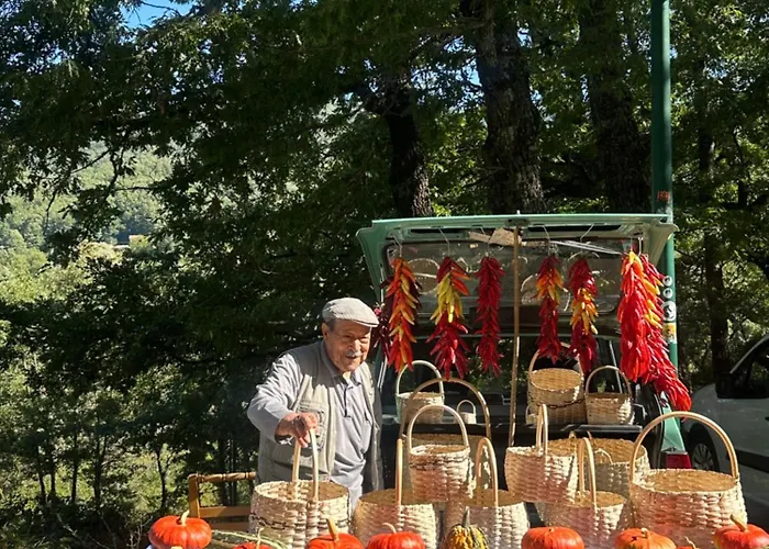 Borgo Don Armando - A B C E * Francavilla in Sinni